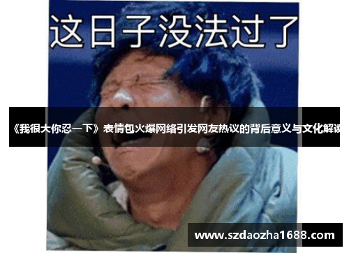 《我很大你忍一下》表情包火爆网络引发网友热议的背后意义与文化解读